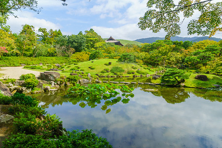 奈良公园的风景