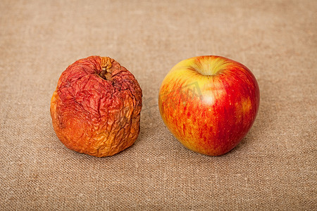 坏摄影照片_画布上的两个水果 — 坏苹果和好苹果