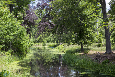 荷兰的自然与绿色和水