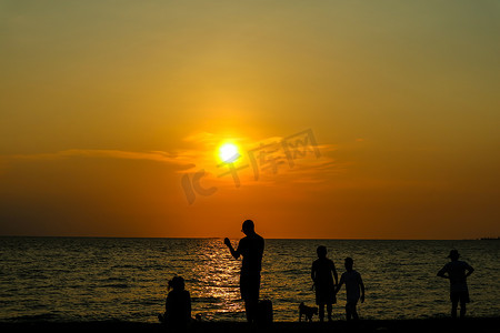 人们在海滩日落时与狗玩耍的剪影