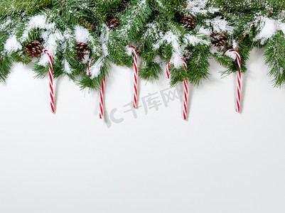 白色的圣诞雪树枝和糖果手杖装饰品