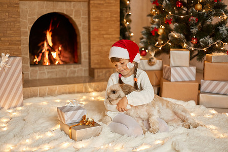 心动时刻摄影照片_可爱的小女孩在圣诞老人的帽子和狗拥抱在美丽的圣诞树的背景下，在节日的房间里有灯光和壁炉，温暖的气氛时刻，女孩带着她的礼物。