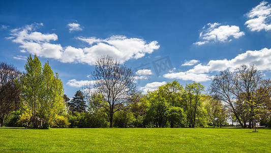 春天公园里有绿色的草坪，阳光明媚。