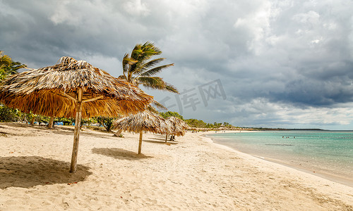 古伞摄影照片_Rancho Luna 沙滩，沙滩上有棕榈树和稻草伞