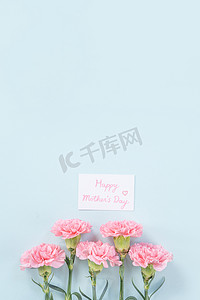 蓝色礼物摄影照片_美丽、优雅的粉红色康乃馨花在明亮的浅蓝色桌子背景上，母亲节鲜花礼物的概念，顶视图，平躺，头顶