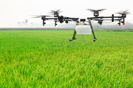 农业无人机在绿色稻田上飞行