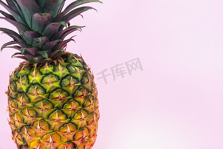 粉红色孤立背景上的大菠萝。