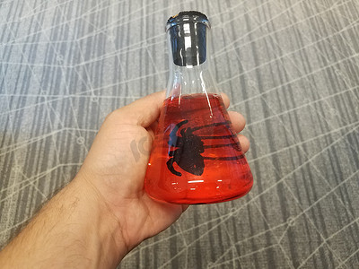 玻璃烧杯或小瓶中红色液体中的黑蜘蛛