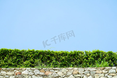 墙壁花岗岩石头和自然绿色植物墙壁蓝天