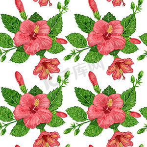 芙蓉植物无缝图案的插图-背景上植物的花朵和叶子