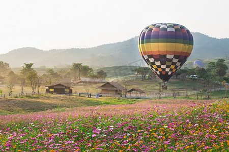 菊花田摄影照片_2017 年泰国清莱省 Singha 公园国际气球嘉年华，热气球飞越波斯菊花田。
