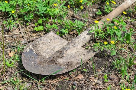 夏日阳光下，花园里一把脏铲子躺在绿草地上。