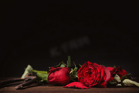 深灰色背景上枯萎的玫瑰和带落花瓣和落叶的木桌，悲伤情人节浪漫的设计理念，破碎，复制，空间。