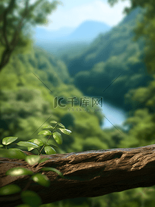雨林背景图片_电商空景镜头广告产品展示背景