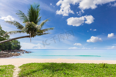 与椰子树的热带白色沙滩风景。