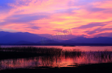 夕阳下的人摄影照片_湖上夕阳下的树剪影