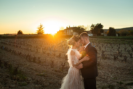 法国日落时的新婚夫妇。在普罗旺斯举行婚礼。在法国拍摄婚礼照片