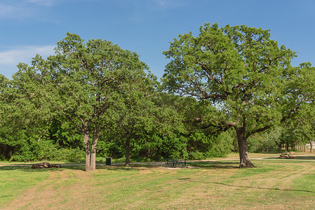 美国德克萨斯州公共自然公园的野餐桌