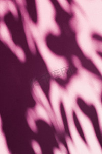 阴影覆盖摄影照片_抽象艺术、植物阴影覆盖在腮红粉红色背景上，适合度假奢华和复古平面设计