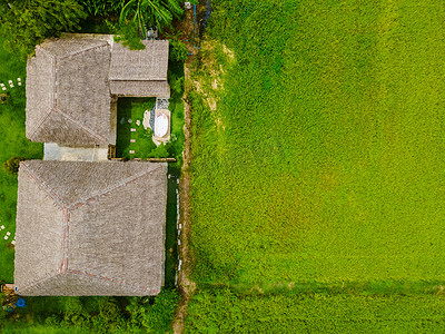 寄宿摄影照片_泰国中部带稻田的生态农场寄宿家庭，泰国季风雨季稻田