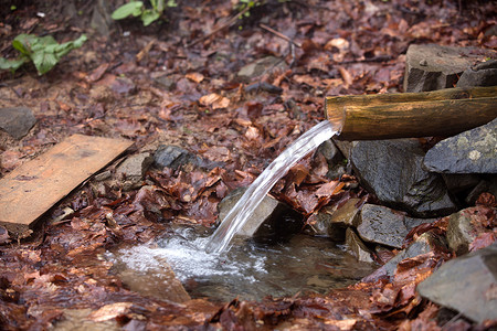 健康水源摄影照片_石头和落叶之间的水源