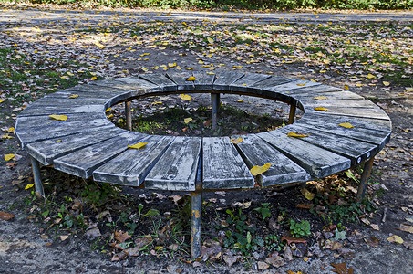 自然南方公园小巷附近有趣的圆形木凳