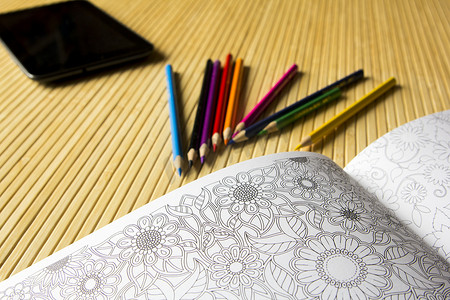 铅笔涂摄影照片_用鲜花、叶子和铅笔轻松着色书。