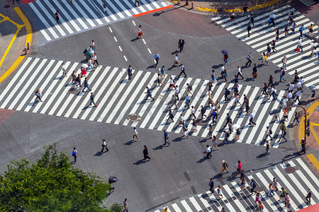 从顶视图的涩谷十字路口