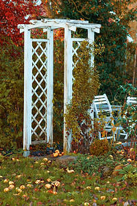 创造一个花园放松的空间......丹麦的一个美丽的花园，装饰着家具和格子。