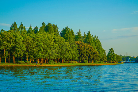 水元公园森林和蓝天