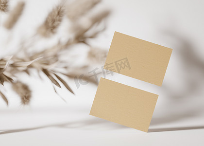 空白的棕色纸板名片在白色背景与干植物。