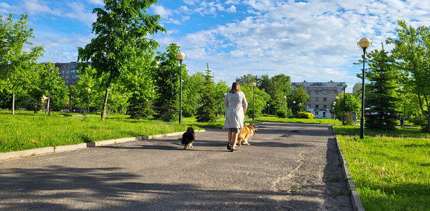 一个女人牵着她的狗在街上、公园里的柏油路上散步。