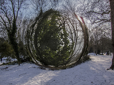 树枝插画摄影照片_数字插图冬季雪背景