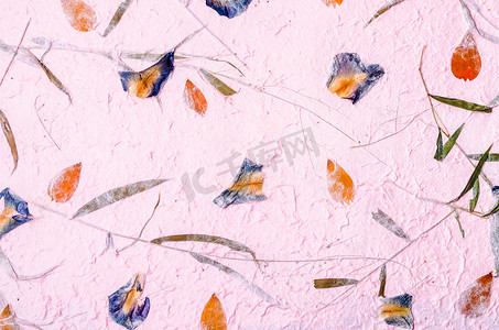 红黄花瓣和种子纹理背景和壁纸的桑纸