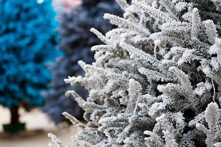 蓝色绒摄影照片_植绒圣诞树