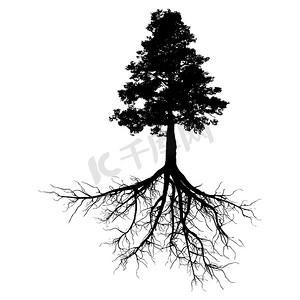 有根的树摄影照片_有根的黑树