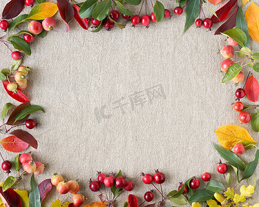 浆果、小野苹果、橡子和树叶灰色亚麻纺织品背景的秋季背景