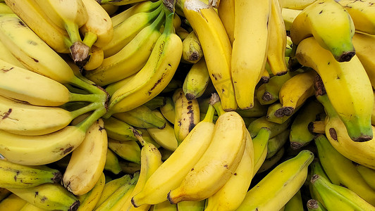 来自巴西的热带水果和蔬菜，如苹果、香蕉、梨、橙子、菠萝
