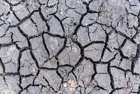 五常黑土地水稻摄影照片_旱季破裂的黑土