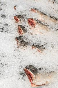 超市柜台上冰鲜海鲜中的生冻鱼冷