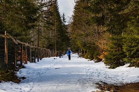 公路旁边的树摄影照片_走通过在木篱芭和高树旁边的冰冷的山路的人们