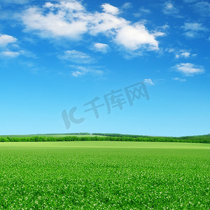 田野国风摄影照片_绿色的田野和蓝色的天空