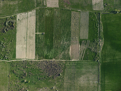 农村绿色麦田的鸟瞰图。