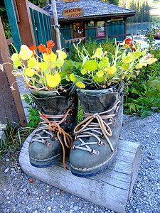 新奇摄影照片_由登山靴制成的新奇花盆，翡翠湖，Yoho