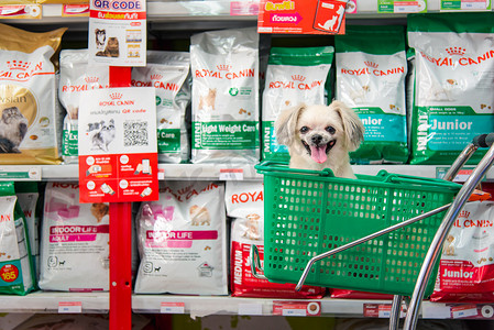 买商品摄影照片_宠物店有多种宠物食品和产品