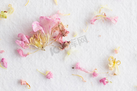 花卉图案摄影照片_花卉图案由粉红色的花朵制成在白色背景。
