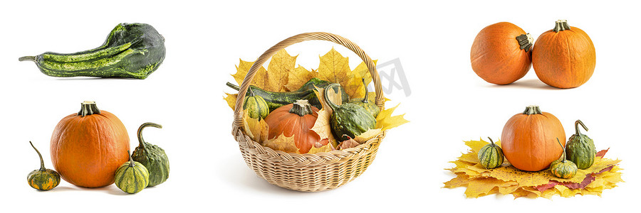 一大套小南瓜和柳条篮子里的南瓜，用于万圣节装饰。