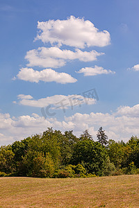 一块修剪过的草地，在几朵突出的云彩和蓝天前，有灌木和树木