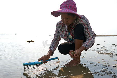 2022年3月15日，泰国帕岸岛：老妇人在海上寻找蛤蜊