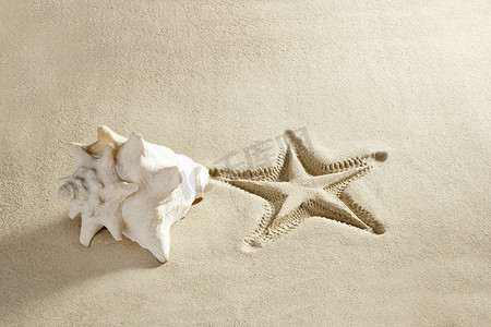 海滩海星印花贝壳白色加勒比沙